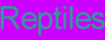 Reptiles
